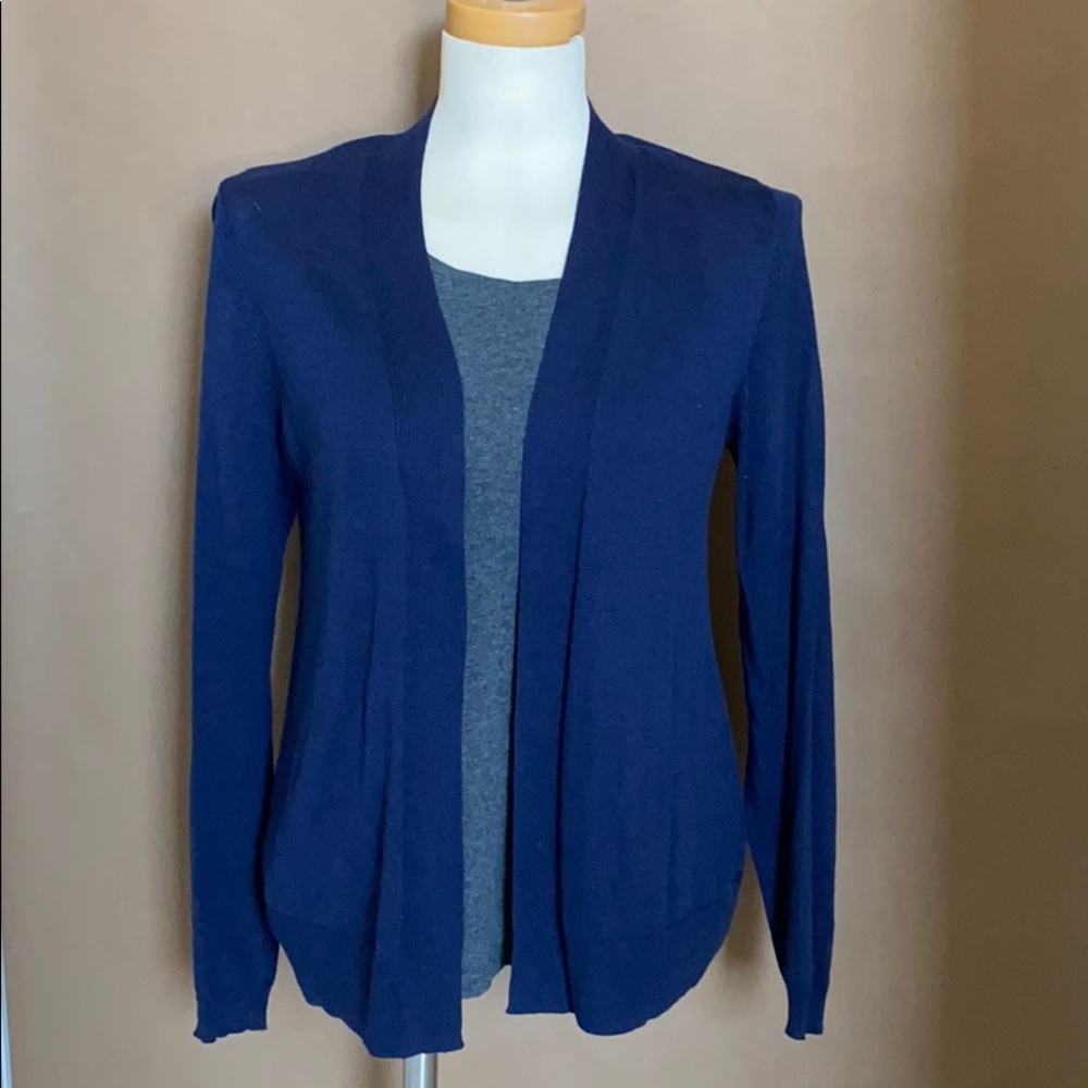 Open-Front Cardigan Sweater (Blue)